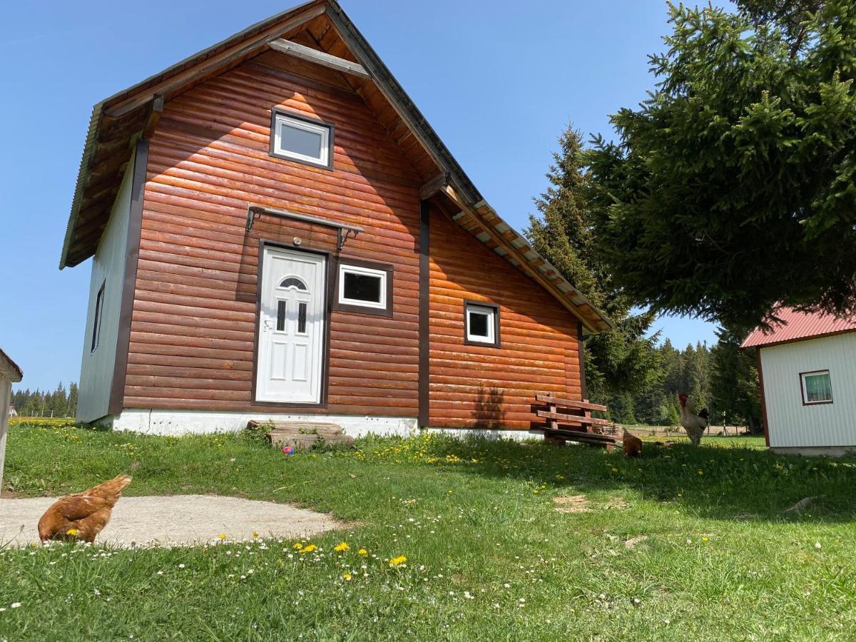 Cottage Uskoci Žabljak Esterno foto