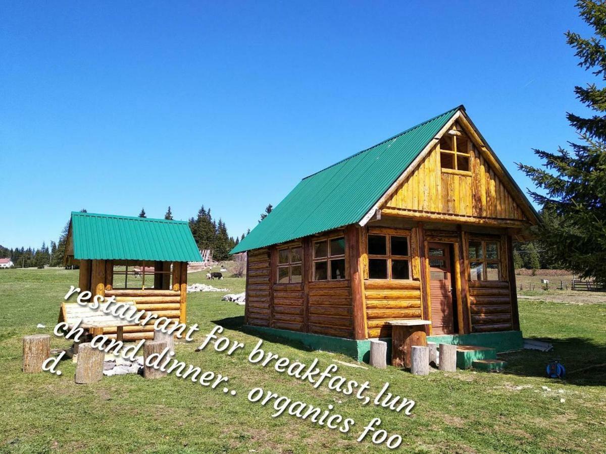 Cottage Uskoci Žabljak Esterno foto